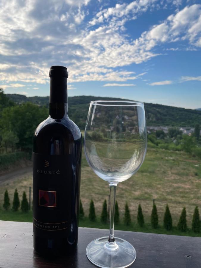Vila Grujic Vrdnik Esterno foto